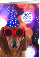 Funny Birthday Dachshund Hot Dog card