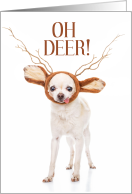 Funny Christmas Chihuahua Dog in Deer Antlers card
