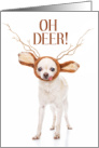 Funny Christmas Chihuahua Dog in Deer Antlers card