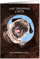 Funny Sending a Note Adorable Pug Dog card