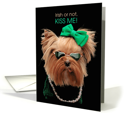 St. Patrick's Day Funny Yorkie Dog Wearing Green card (1889076)