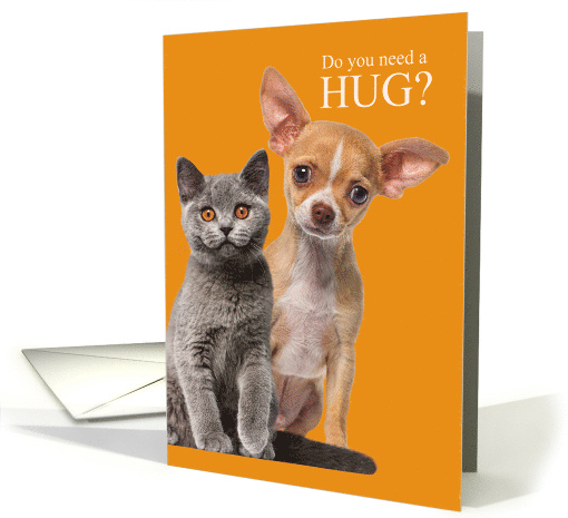 Need a Hug Cute Puppy and Kitten Encouragement card (1891522)