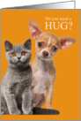 Need a Hug Cute Puppy and Kitten Encouragement card