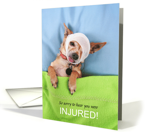 Cute Get Well from Injury Chihuahua Dog in Bed card (1897510)