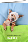 Cute Get Well from Injury Chihuahua Dog in Bed card