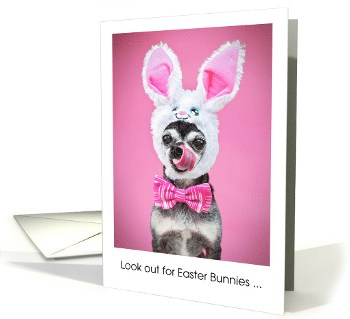 Funny Easter Bunny Imposter Chihuahua Dog card (1897514)
