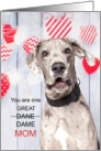 From the Dog Funny Great Dane Valentine for Dog Mom card