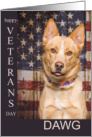 Veterans Day DAWG and American Flag card