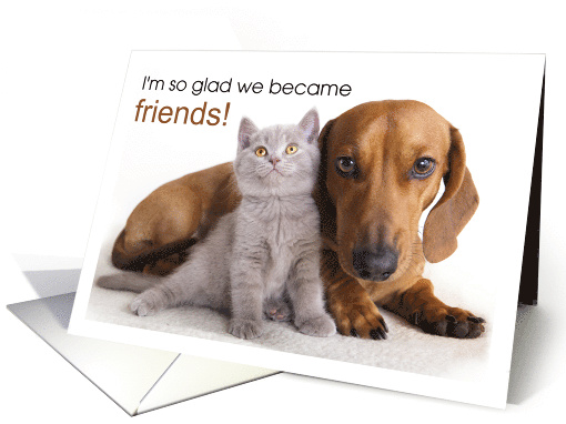 Friendship Gray Kitten and Dachshund Dog card (1899954)