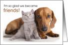 Friendship Gray Kitten and Dachshund Dog card