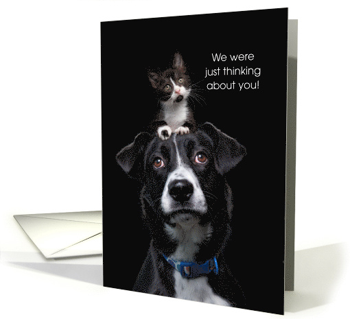 Thinking of You Cute Kitten and Dog on Black card (1907268)