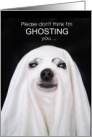 Social Media Break Funny Ghost Dog card