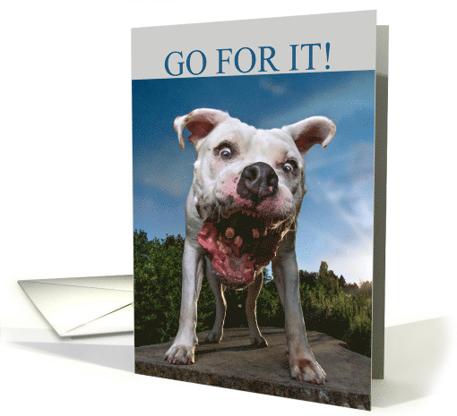 Funny Good Luck Pit Bull Catching Treats card (1911044)