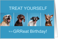 Funny Dog Lover Birthday Treat Yourself card