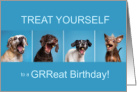 Funny Dog Lover Birthday Treat Yourself card