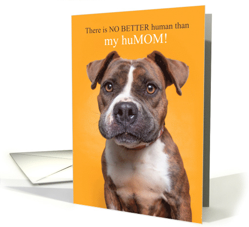 from the Dog Mother's Day Cute Pit Bull Dog card (1912886)