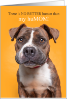 from the Dog Mother’s Day Cute Pit Bull Dog card