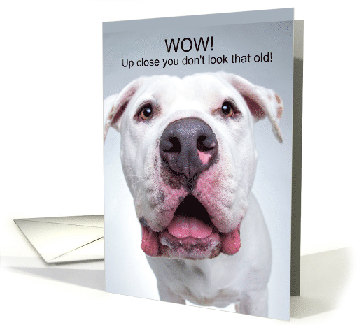 Funny Getting Older Birthday PIt Bull Dog card (1914760)