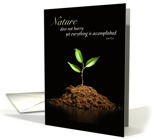 Earth Day Sapling on Black Lao Tzu Quote card (1916288)