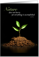 Earth Day Sapling on Black Lao Tzu Quote card