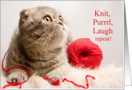 Scottish Fold Cat Lover’s Birthday Knit PURRRL card