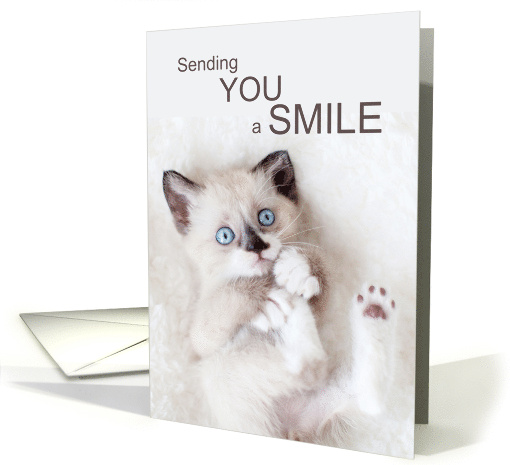Encouragement Adorable Kitten Send a Smile card (1922094)