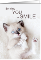 Encouragement Adorable Kitten Send a Smile card