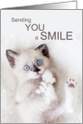 Encouragement Adorable Kitten Send a Smile card