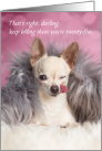 Funny Getting Older Birthday Chihuahua Dog card