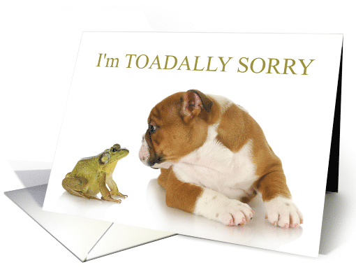 Funny TOADally Sorry Bulldog and Toad Apology card (1930526)