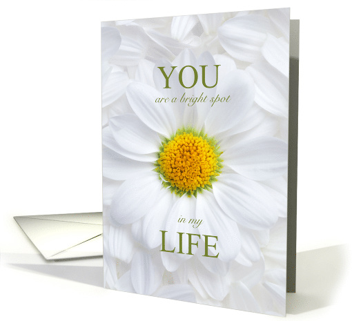 Friend YOU are a Bright Spot in my Life card (1938686)