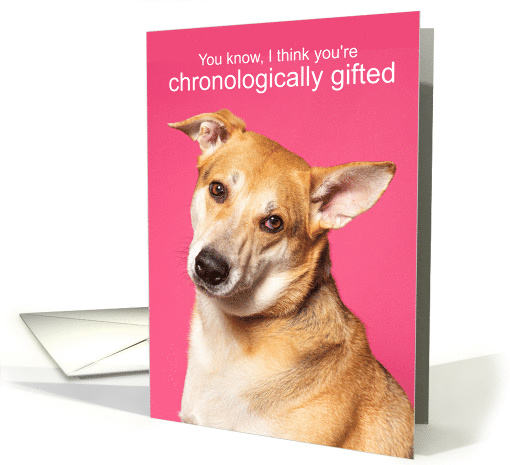 Funny Getting Old Birthday Quizzical Dog card (1951410)