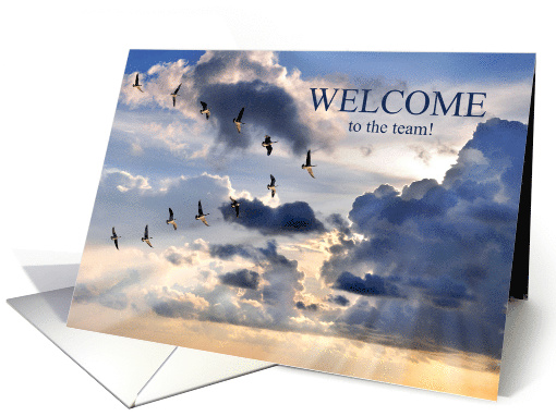 Welcome to the Team Business Geese in V Formation card (1958982)