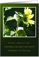 Earth Day Haiku Sunflower card