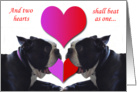 Occasions Love Boston Terrier card