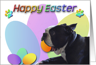 Easter from Pet Boston Terrier card