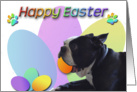 Easter from Pet Boston Terrier card