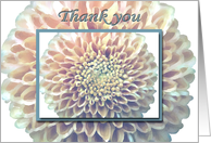 Thank You for Help Chrysanthemum card