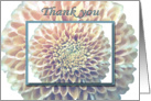 Thank You for Help Chrysanthemum card