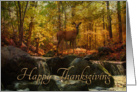 Thanksgiving Autumn Forest Deer card