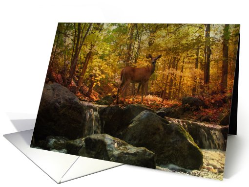 Autumn Forest Deer All Occasion card (797133)