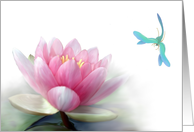 Pink Water Lily, Lotus, Dragonfly Blank Card