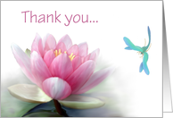 Thank You Water Lily...