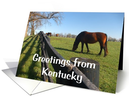 Greetings from Kentucky card (531211)