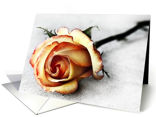 Thank You card (531613)