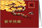 Happy New Year Card in Chinese. Chinese Year of the Snake card