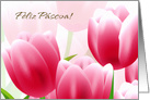 Feliz Pscoa. Spring Tulip Portuguese Easter Card