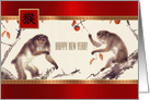 Happy Chinese Year of the Monkey. Monkey Painting card