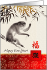 Happy Chinese Year of the Monkey. Monkey Painting card