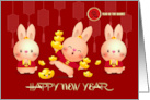 Happy Chinese Year of the Rabbit Three Cute Rabbits card